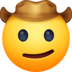 :cowboy_hat_face: :cowboy_hat_face: